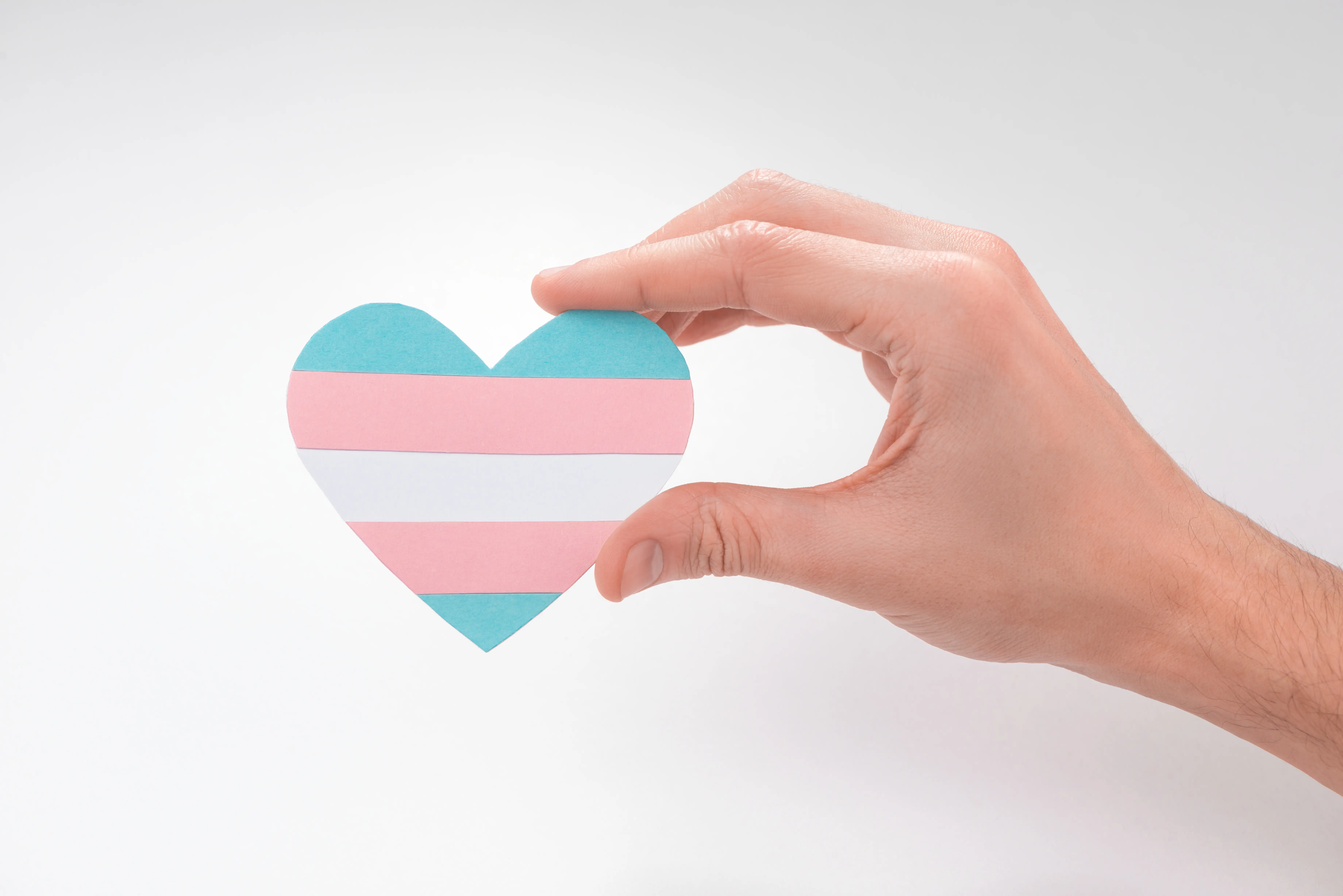 transflag-heart-in-a-hand-409332892